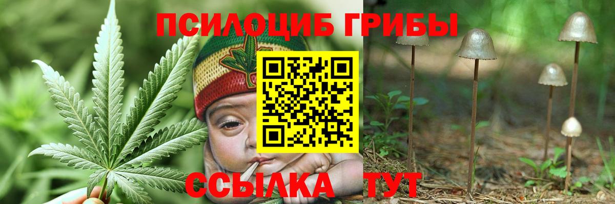 Галлюциногенные грибы Cubensis Артём