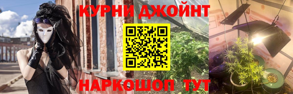 Бошки Шишки планчик Артём